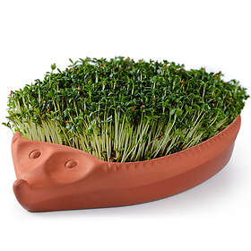 Römertopf Odlingskotte 18cm