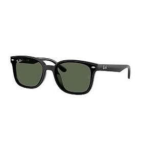 Ray-Ban RB4461D