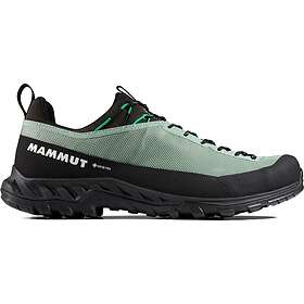 Mammut Alnasca IV Low GTX (Miesten)