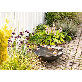 Homeshop Enya 60x60x16.5cm