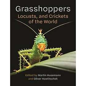 Grasshoppers, Locusts, and Crickets of the World