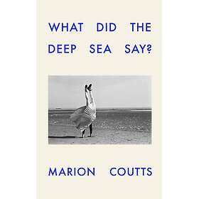 What Did the Deep Sea Say?