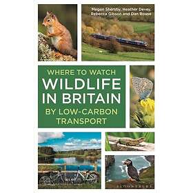 Where to Watch Wildlife in Britain By Lowcarbon Transport