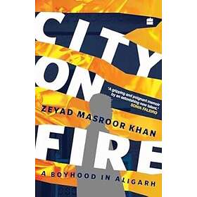 City on Fire A Boyhood in Aligarh