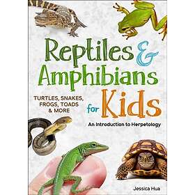 Reptiles & Amphibians for Kids An Introduction to Herpetology