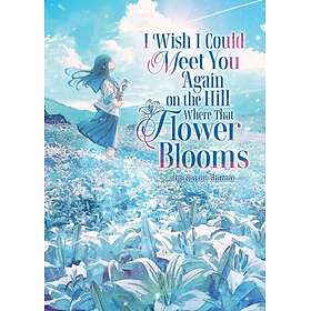 I Wish I Could Meet You Again on the Hill Where That Flower Blooms (Light Novel)