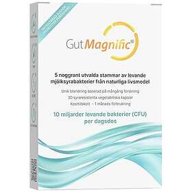 GutMagnific Mjölksyrebakterier 30 st