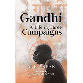 Gandhi A Life in Three Campaigns