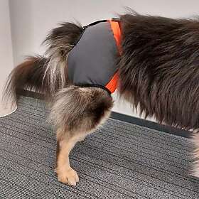 Kardog Testicle Protector