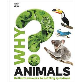 Why? Animals (inbunden, eng)