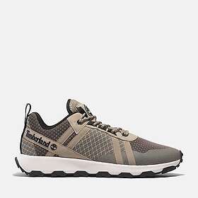 Timberland Winsor Trail Low (Hommes)