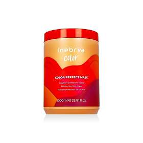Inebrya Color Perfect Color Protection Mask 1000ml