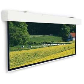 Projecta Elpro Large Electrol Matte White 1:1 245" (440x440)