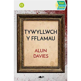 Stori Sydyn: Tywyllwch y Fflamau (häftad, wel)