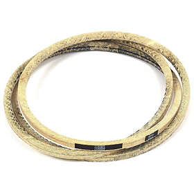 Briggs & Stratton Courroie d'entraînement 1732955SM