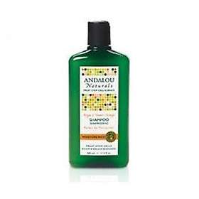 Andalou Naturals Moisturizing Shampoo 340ml
