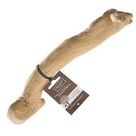 Chewies Coffee Tree Purutikku 2-Pack