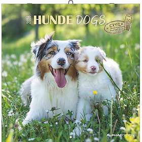 Alpha Dogs Veggkalender 2026 30x30cm