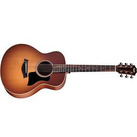 Taylor GS Mini-e Special Ed