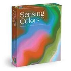 Galison Sensing Colors Pussel