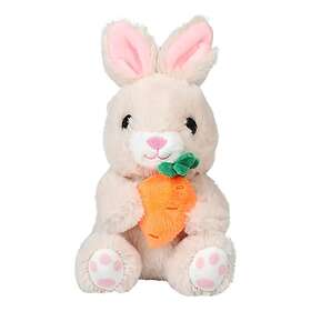 Hisab Joker Kanin Kanin