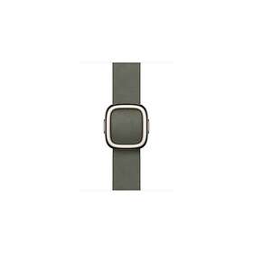 Apple Modern Buckle Bracelet Large