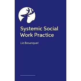 Systemic Social Work Practice