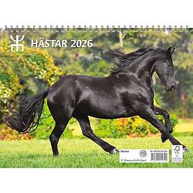 Almanacksförlaget Väggkalender Hästar 2026 A4