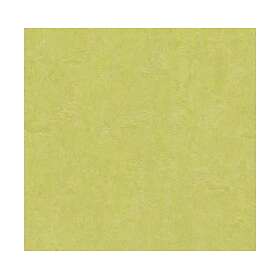 Forbo Linoleumgolv Marmoleum Click Spring Buds 30x30cm 333885