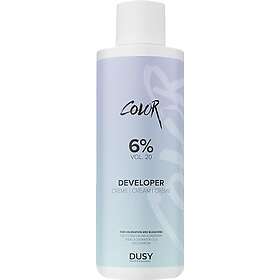 Dusy Creme Developer Spray Applicator 1 l (6 %, 1 l)