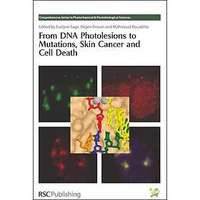 From DNA Photolesions to Mutations, Skin Cancer and Cell Death