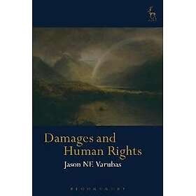 Damages and Human Rights