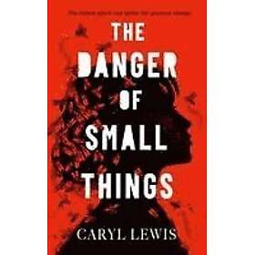 The Danger of Small Things