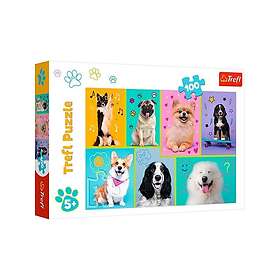 Trefl Koirien maailmassa 100 Palaa