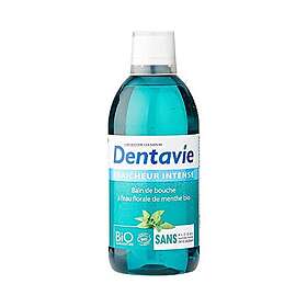 Dentavie Intense Freshness Mundskyl 500ml