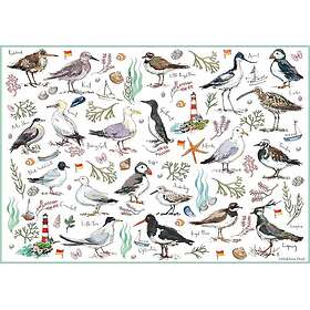 Madeleine Seabirds 500 Bitar