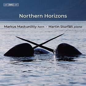 Markus Maskuniitty, Martin Sturfält Northern Horizons CD