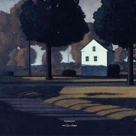 Memotone Smallest Things LP/Vinyl