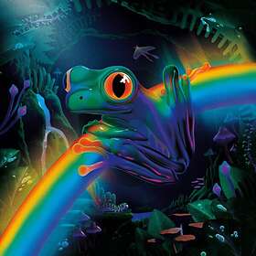 Cool Maratime Big Earth Energy LP/Vinyl