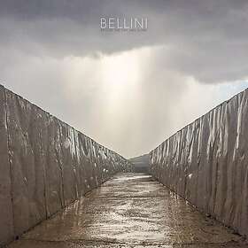 Before The Day Has Gone LP/Vinyl