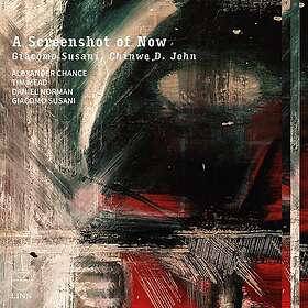 Alexander Chance, Tim Mead, Daniel Norman, Giacomo Susani Susani: A Screenshot of Now CD