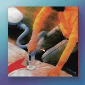 Macula Dog Why Do You Look Like Your Dog CD