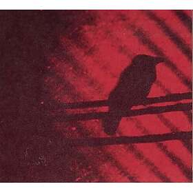 A Silver Mt. Zion Born Into Trouble As The Sparks Fly Upward LP/Vinyl