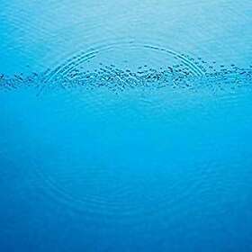 Caribou Suddenly LP/Vinyl