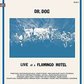 Dr. Dog Live At A Flamingo Hotel LP/Vinyl