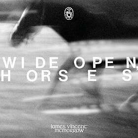 James Vincent McMorrow Wide Open Horses CD