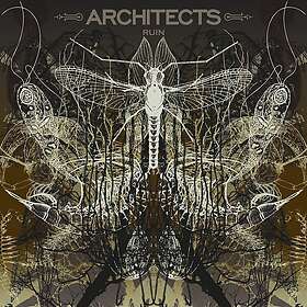 Architects Ruin LP/Vinyl