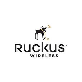 Ruckus Wireless Virtual SmartCell Gateway Support Lisenssi 5 Vuotta