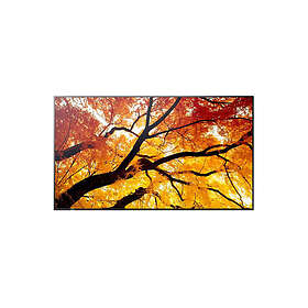 Sharp PN-502 60006054 50" Digital Skyltning 4K 60Hz