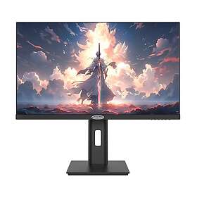 Origin Storage 24 HD 6N6E9AA#ABU-OS 24" LED FHD 60Hz